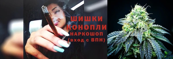 индика Балабаново