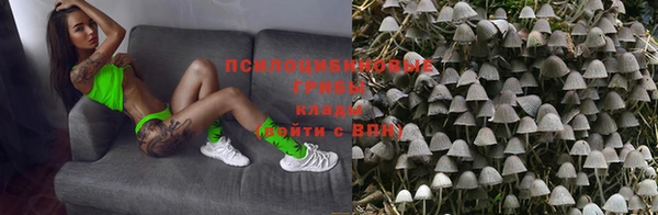 apvp Белоозёрский