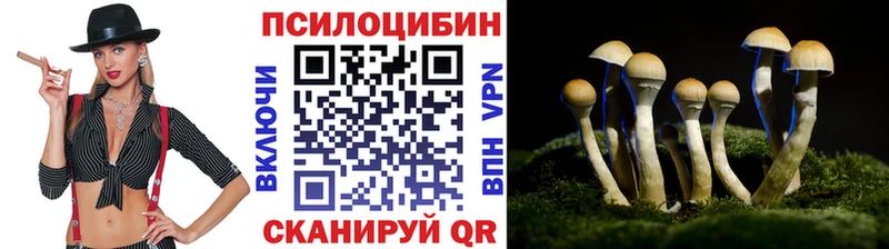 как найти Волчанск Галлюциногенные грибы MAGIC MUSHROOMS